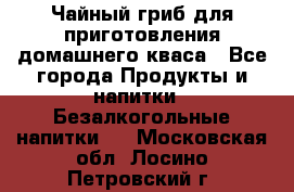 Чайный гриб для приготовления домашнего кваса - Все города Продукты и напитки » Безалкогольные напитки   . Московская обл.,Лосино-Петровский г.
